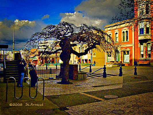 2008 03 04 Urban Forest, No. 7